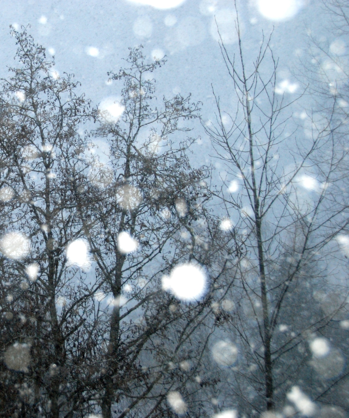 Тишина падающего снега. Серая зима. Снегопад. Падающий снег. Эстетичный снегопад.